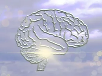 高 次 脳 機能 障害 仕事 できない