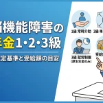 高次脳機能障害 障害年金 等級